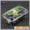 plastic container fruit packaging